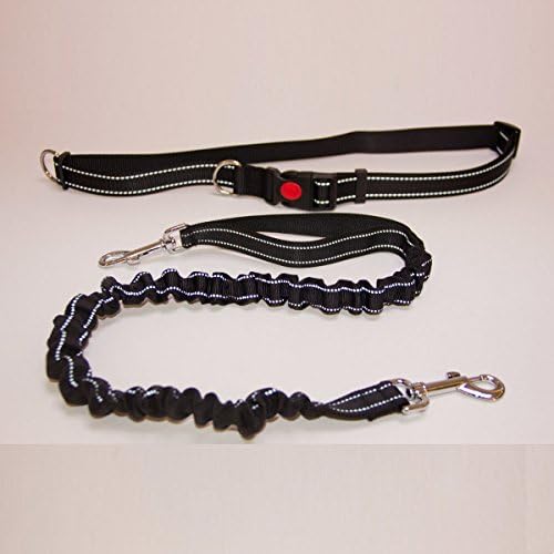 Rosiness Hands Free Dog Leash Durable Bungee Leashes for Running Walking Hiking with Adjustable Waist Belt (Fits up to 43" waist)