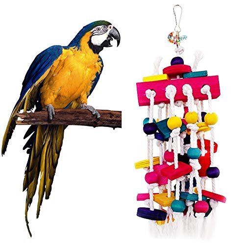 eclectus toys