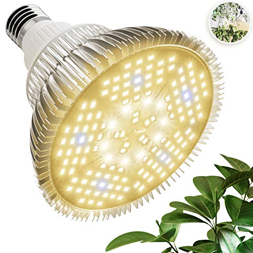 100W LED Grow Light Bulb – White Full Spectrum Plant Light for Indoor Plants, Garden, Aquarium, Vegetables, Greenhouse & Hydroponic Growing by Haus Bright (100W Warm White)