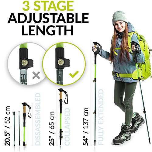 CAMMPO - Trekking, Hiking Poles | Hiking Sticks Made of Aerospace-Grade Aluminum | Ultralight & Collapsible Walking Sticks (2-pc) with Tungsten Tip, Flip Lock System and Sweat Absorbing Cork Handles