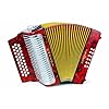 Hohner 3523GR Akkordeon mit 43 Tasten, 39,4 cm
