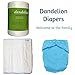 Dandelion Diapers Natural Diaper Liners, Compare To Grovia Bioliner Biodegradable Flushable, 100 Percent Ingeo Liner 200 Sheet Roll