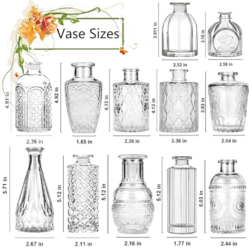 Glass Flower Vase, 12 Pack Small Flowers Vases Set, Mini Bud Plant Pots for Table Decoration & Centerpieces & Wedding, Vintage Bottle for Outdoor and Home Decor, صغيرة زجاج فازات, (Clear)