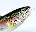 LX Handpainted Rainbow Trout Statue Game Fish Replica 18