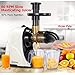 Masticating Juicer Machines, Hethtec Slow Cold Press Juicer Quiet Motor, Reverse Function, High Yield Juice Extractor with Brush for Fruits and Vegetables, Easy to Clean, BPA-Free