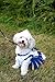Pets First NBA Golden State Warriors Dog Cheerleader Dress, X-Small