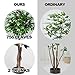 Goplus 5.5FT Ficus Silk Leaf Artificial Tree, Potted Fake Tree w/Green Leaves and Natural Trunk, Maintenance Free, Tall Faux Plant for Indoor Outdoor Decoration