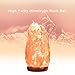 Himalayan Salt Lamp PULNDA Glow Natural Hand Carved Rock Salt Lamp with Neem Wood Base/Bulb and Dimmer Control, Crystal, Amber, 6-7-Inch for Lighting, Decoration and Air Purifying