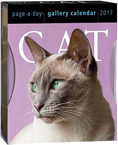 2017 CAT GALLERY Daily Page-A-day Box / Desk Calendar