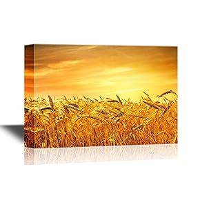 Landscape Wheat Field Under The Sunset