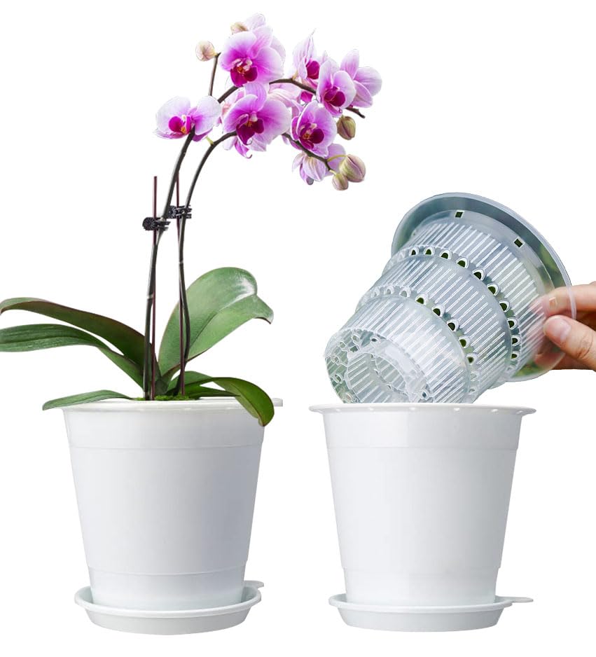 Meshpot 4 Inches Clear Plastic Orchid Planter with Holes - Succulent and Cactus Pot Set with 2 Inner, 2 Outer, and Saucer