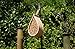 NatureZ Edge Mason Bee House, Natural Bamboo Mason Bee Hive, Supercharge Your Garden by Attracting The Perfect Non-Aggressive Pollinator Bees, Bee Hotel