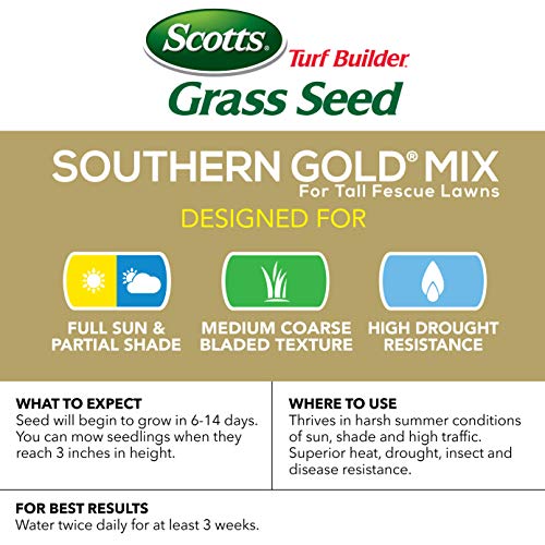 Scotts Turf Builder Grass Seed Southern Gold Mix for Tall Fescue Lawns