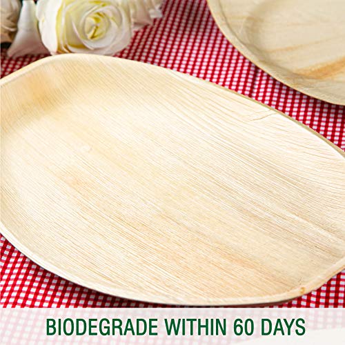 KIKI Green Palm Leaf Serving Platters 15 x 10 Inch Heavy Duty Compostable Serving Trays for Parties, Bamboo Trays Chemical Free Pack of 6