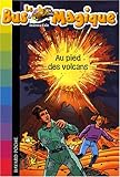 Image de Le Bus Magique, Tome 15 (French Edition)