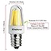 Kakanuo E12 LED Bulb 2.5 Watt Warm White 3000K 25W Equivalent 250Lumen Candelabra Base 4XCOB Non-Dimmable AC110V-130V for Chandelier/Ceiling Fan(Pack of 2)