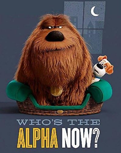 Secret Life Of Pets " Who is the Alpha Now?" Silk Touch Throw