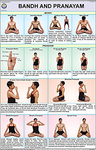 Bandh and Pranayam Yoga Chart (50x75cm) Wall Chart – 2015 by teachingnest (Author)