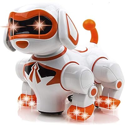 buy robot dog