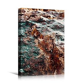 signwin Canvas Wall Art Colored Rock Abstract Colorful...