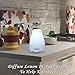160ml Ultrasonic Aromatherapy Essential Oil Diffuser - Easy To Use - Cool Mist Aroma Humidifier - Safe For All Oils - 7 Color LEDS - Automatic Shut Off - 2 Mist Modes - Great For Men, Women & Kids!