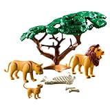 Lions