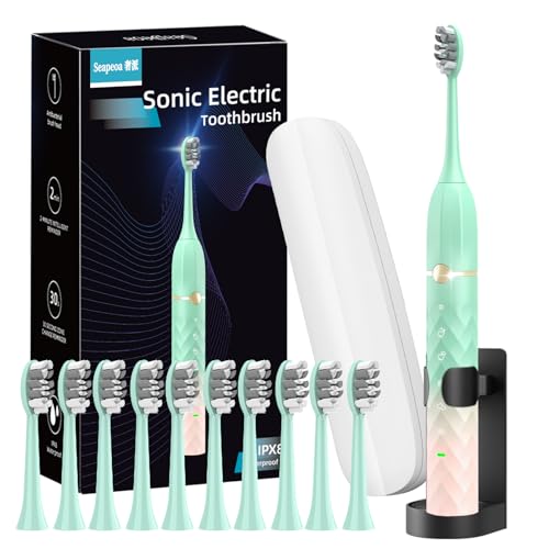 Sonic Electric Toothbrush Set Equipped 10 Brush