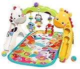Fisher-Price Newborn-to-Toddler Play Gym