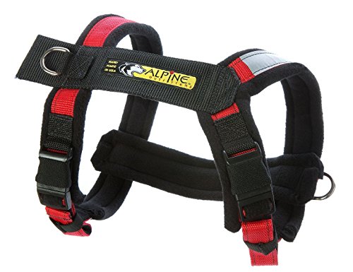 Urban Trail Padded Adjustable Dog Harness