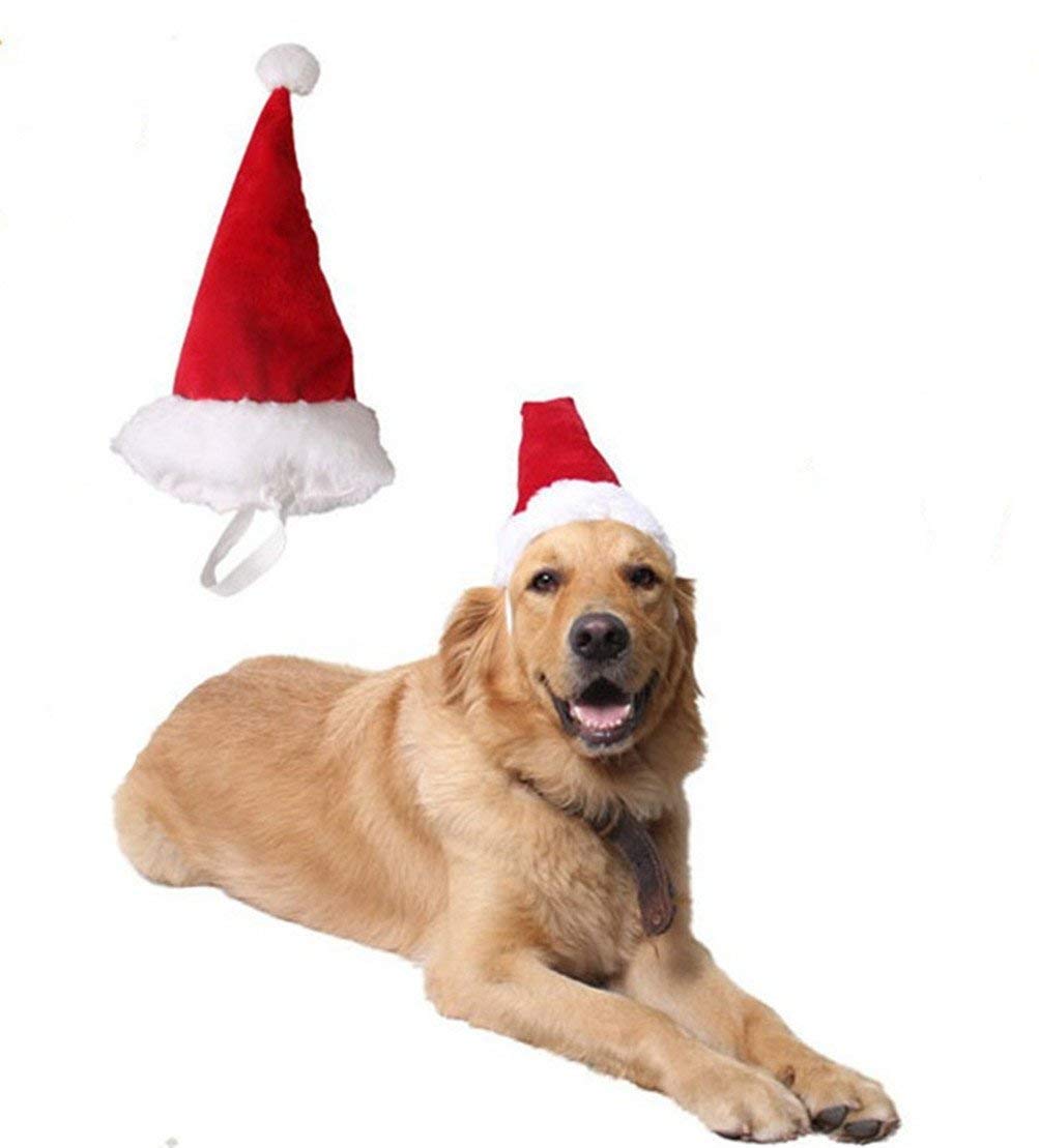 BT Bear® Pet Christmas Costume, Dog Santa Hat for Cats & Small Dogs - Medium & Large (Large)