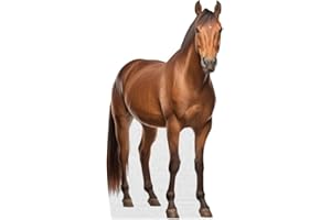 DORDOR & GORGOR Horse - Life Size Cardboard Cutout Standup People with Support Standee | Animals -1