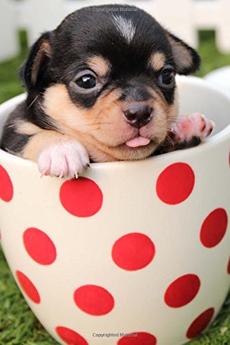 Buy Baby Chihuahua Puppy Dog Pet Lined Journal Book Online At Low Prices In India Baby Chihuahua Puppy Dog Pet Lined Journal Reviews Ratings Amazon In