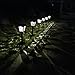 6 Pack Solar Lights Outdoor Garden, Solar Pathway Landscape Lights Supper Bright Waterproof and Corrosion-Resistant, Powered Solar Outdoor Lights for Yard Patio Walkway Driveway Sidewalk Lawn