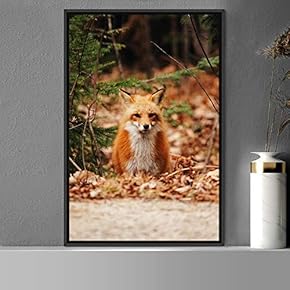 signwin Framed Canvas Wall Art Red Fox Animals...