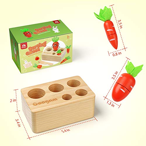 Coogam Baby Carrots Sorting Toy, Wooden Montessori Color Shape Sorter