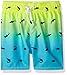 The Children's Place Baby-Boys' Li'l Guy's Printed Trunks Swim Shorts