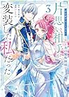 「君を愛することはない」と言った氷の魔術師様の片思い相手が、変装した私だった 第3巻