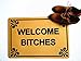 CMRUI Welcome Bitches - Funny Doormat Entrance Mat Floor Mat Rug Indoor/Outdoor/Front Door/Bathroom Mats Rubber Non Slip (23.6 L x 15.7 W)