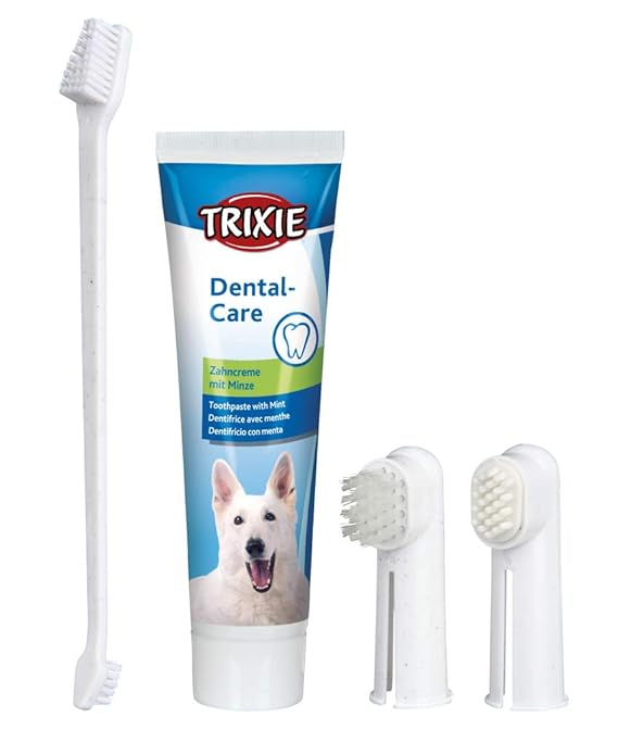 dog ate colgate toothpaste