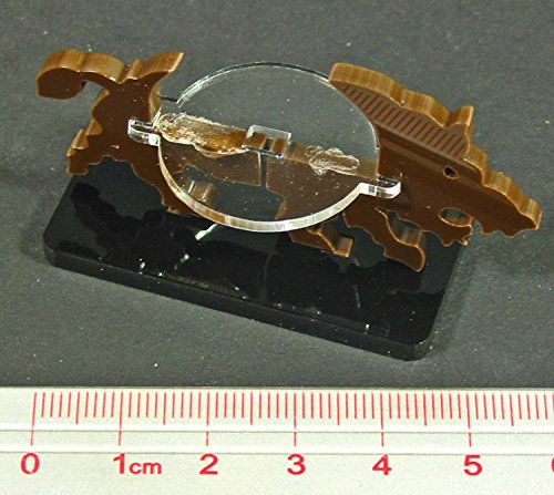 Boar, Character Mount Marker, Brown , 25x50mm Base (1)