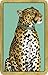 Entertaining with Caspari Double Deck of Bridge Playing Cards, Wild Cards
