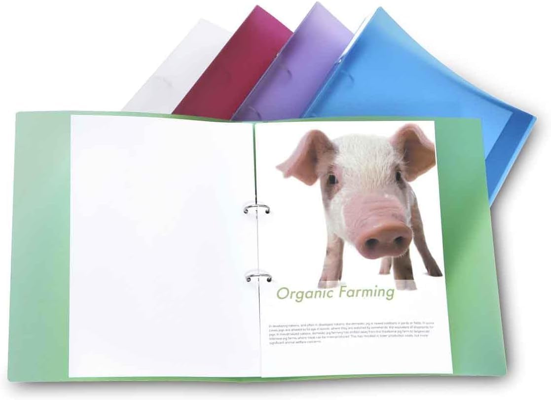 Rapesco 1044 ECO 2-Ring Binder, 40 mm Spine, A4, Assorted Colours, Pack of 10