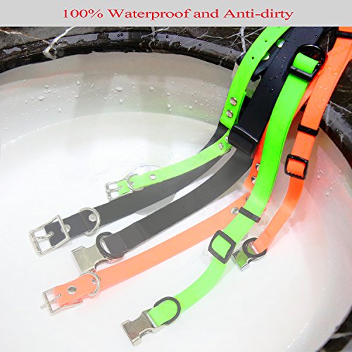 hipidog Personalized Dog Collar Waterproof with Laser Engraved Nameplate and ID Buckle, No Stink Collar, Odor and Rot Resistant Washable Dog Collar | Adjust from S/M/L Sizes (Orange-Buckle, M)