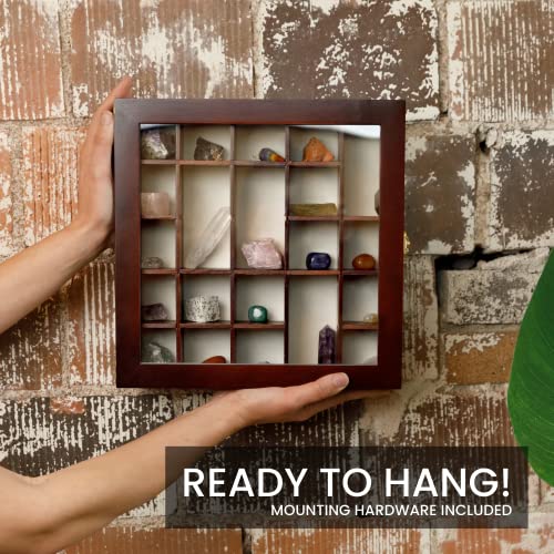 SmartyRocks Adjustable Rock Display Case Rock Collection Box with