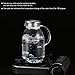 75 Ounces Large Heat Resistant Glass Beverage Pitcher with Stainless Steel Lid, Borosilicate Water Carafe with Spout and Handle, Perfect for Homemade Juice and Iced Tea