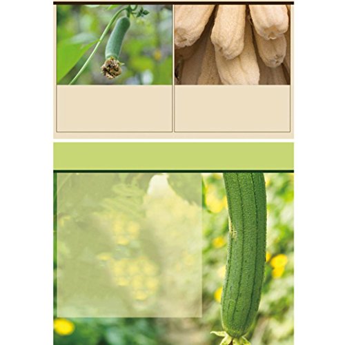 image for Loofah Body Scrubber,Sunfei 100% Natural Loofah Exfoliating Body Washc