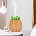 Miserwe Diffuser Aromatherapy Essential Oil Diffuser Planter for Home Office Bedroom Nursery - 550ML Planting Platform 4 Timer Settings 7 Color LED Lights Cool Mist Auto Shut-Off