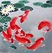 King Silk Art Handmade Embroidery Nine Red Japanese Koi & Lotus Water Lily 32015