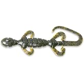 Googan Squad Slizzard Lizard, Green Pumpkin, 7, GSL-GNP