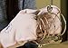 Corbell Silver Town Talk Anti-Tarnish Silver Polish Mitts